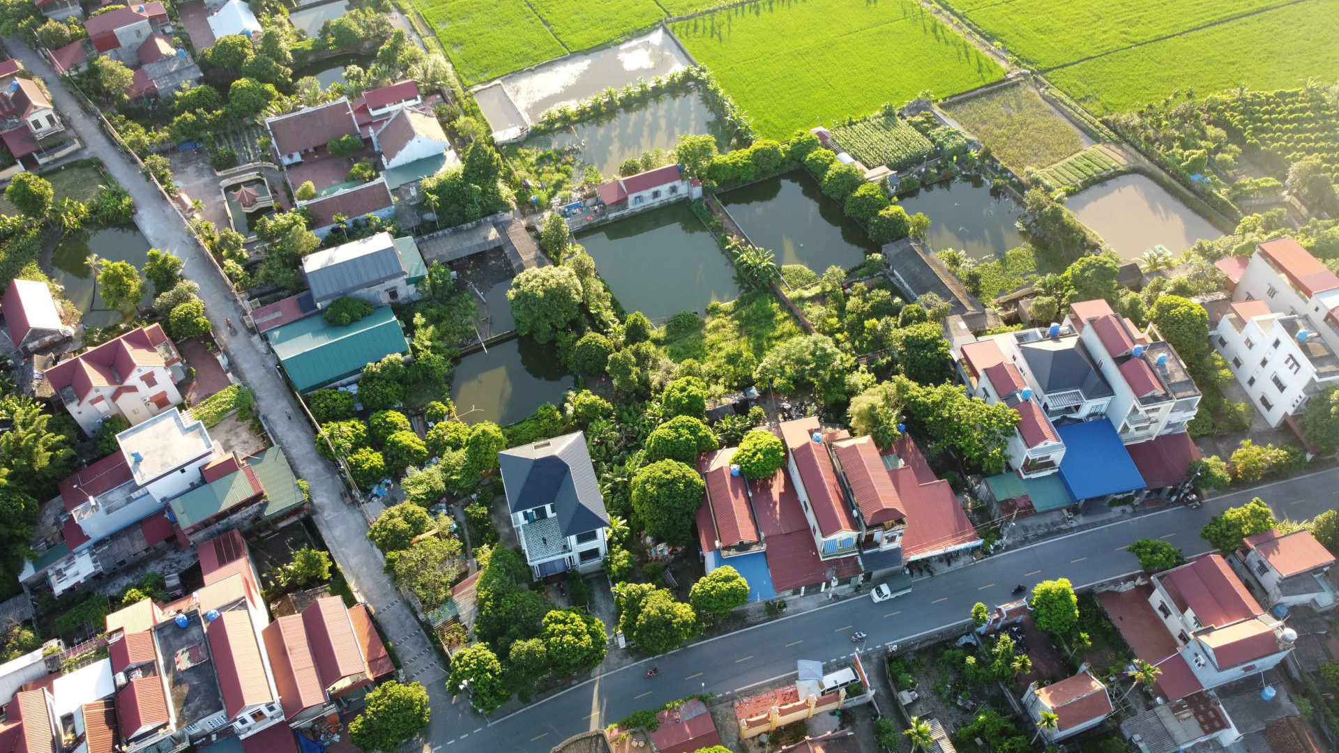 Vietnam Housing